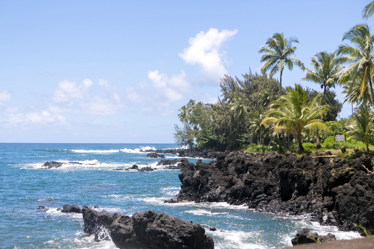 Maui-Hawaii-Honeymoon-286