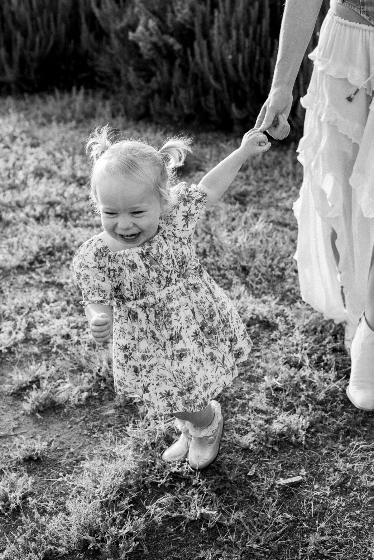 Alexis Rachel Photography 2024 LaFevre, Paige-51