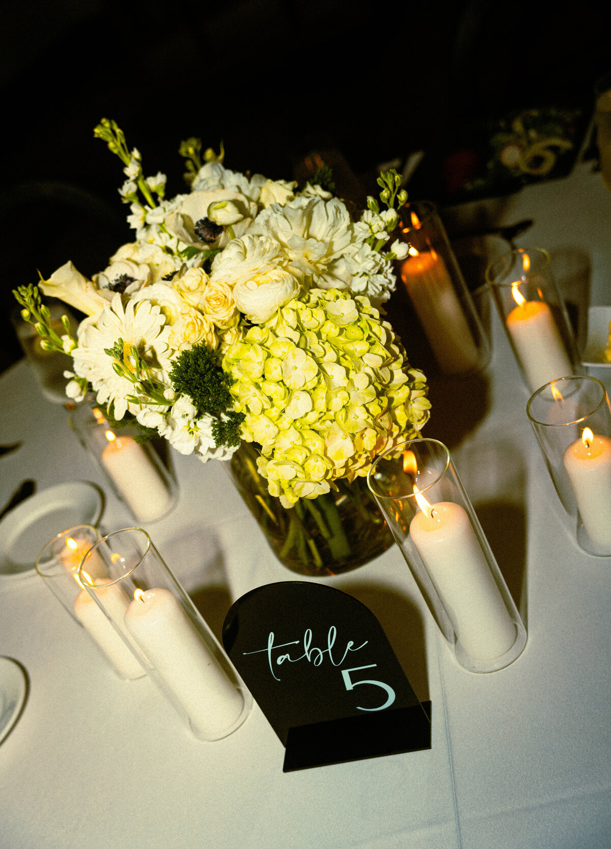 beccameyerphoto-06564