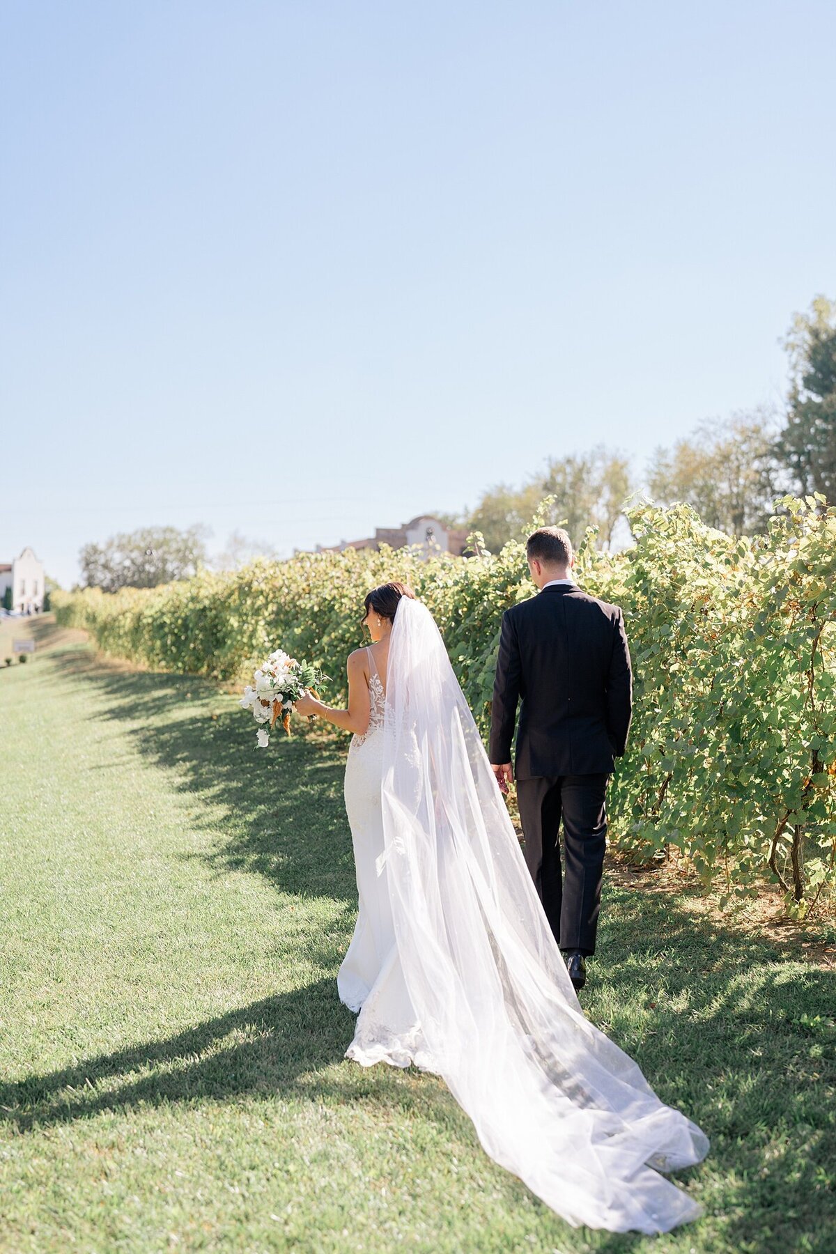 Columbus wedding  photographer captures vineyard wedding photos with couple holding hands and walking through the vineyard