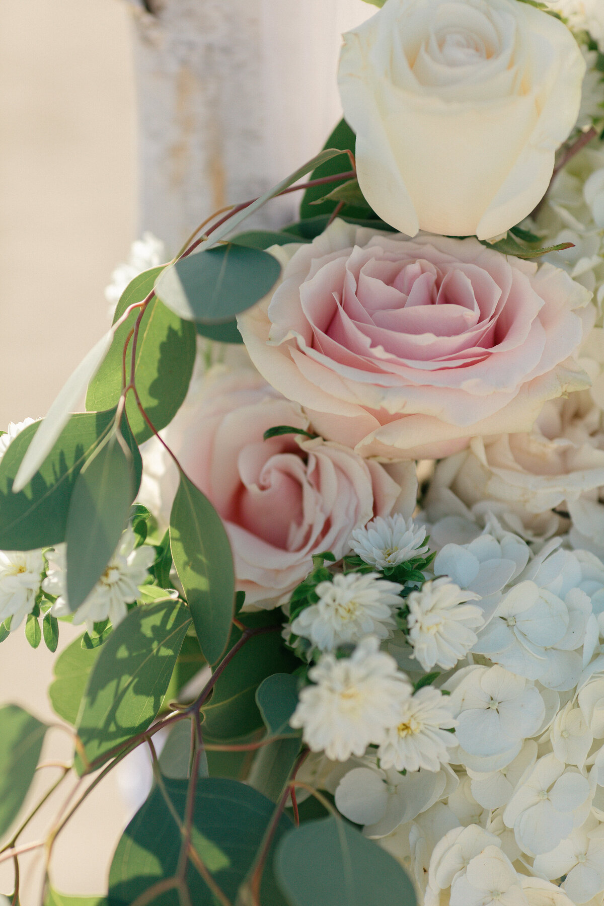 Wedding-Oxnard-State-Beach-1-nick-linsey
