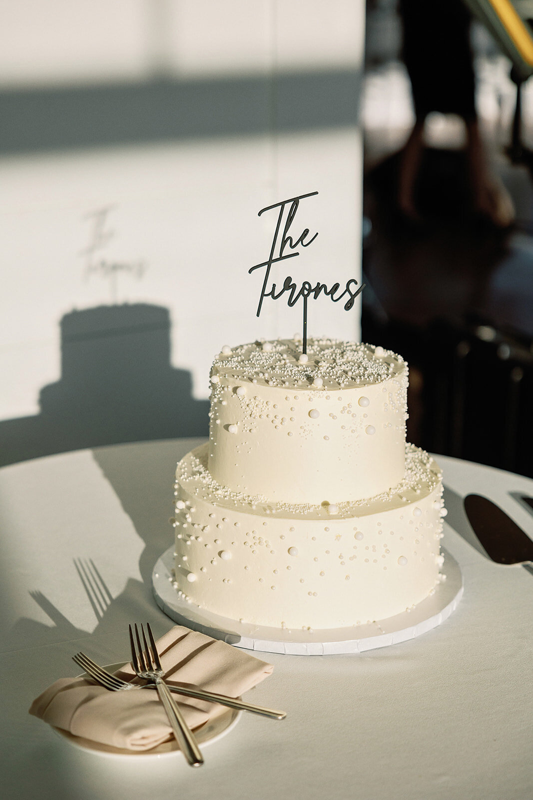 Theresa_and_Jordan_wedding_photos-360