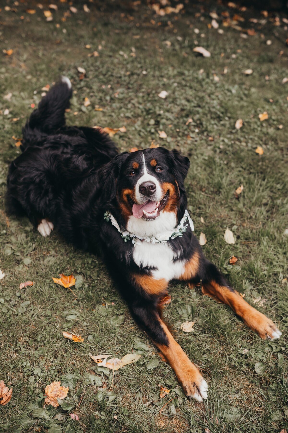 boston-wedding-photographer-234