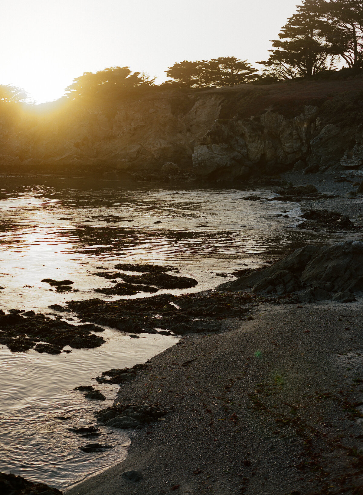 DT-2025-Kelcie&StevenPreview-47