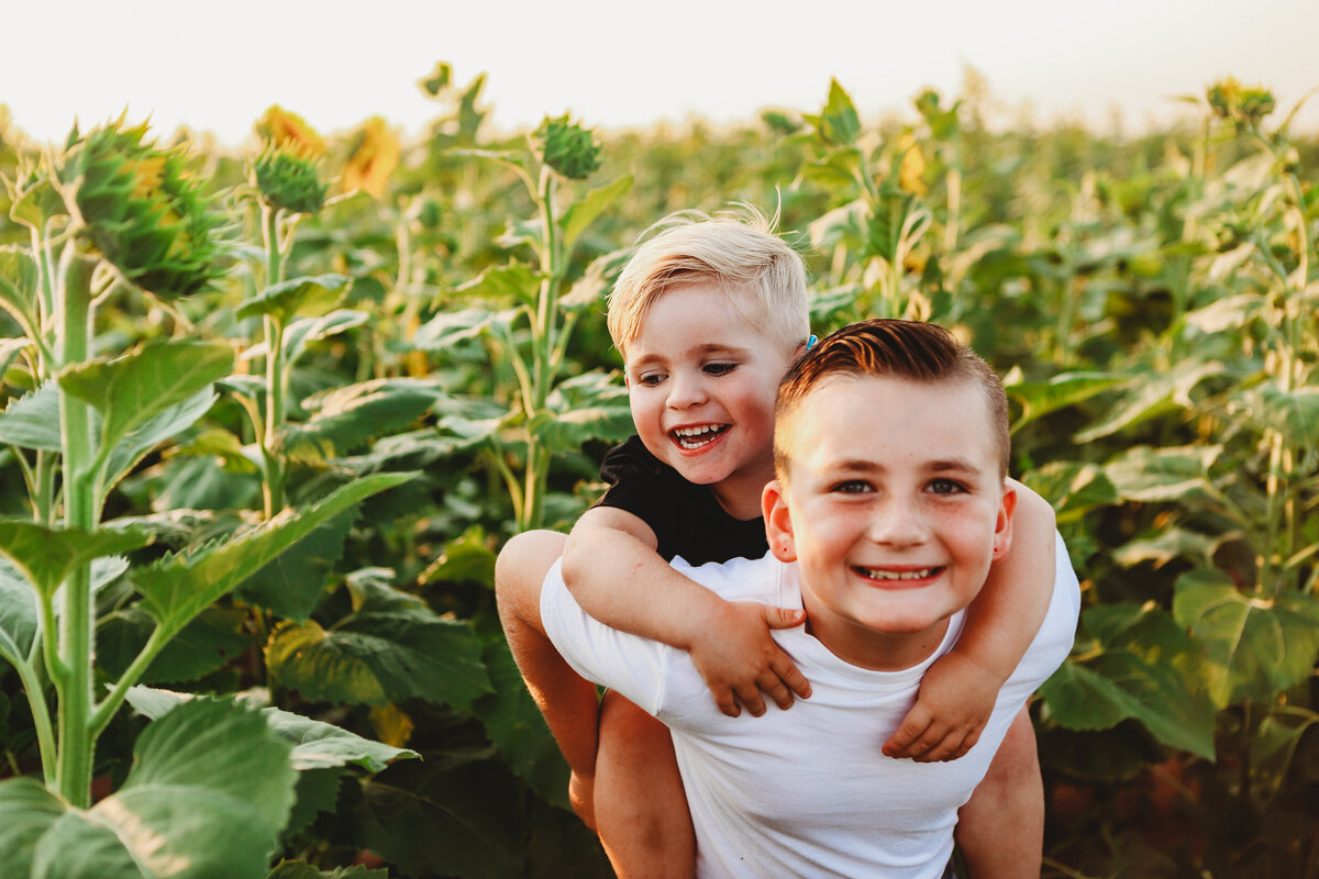 children in sunflower field, brother giving piggy back ride