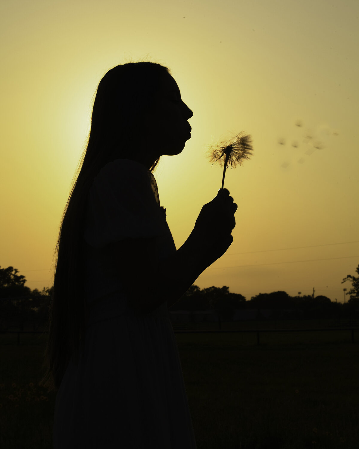 webspringtown-senior-photos_2356-Edit