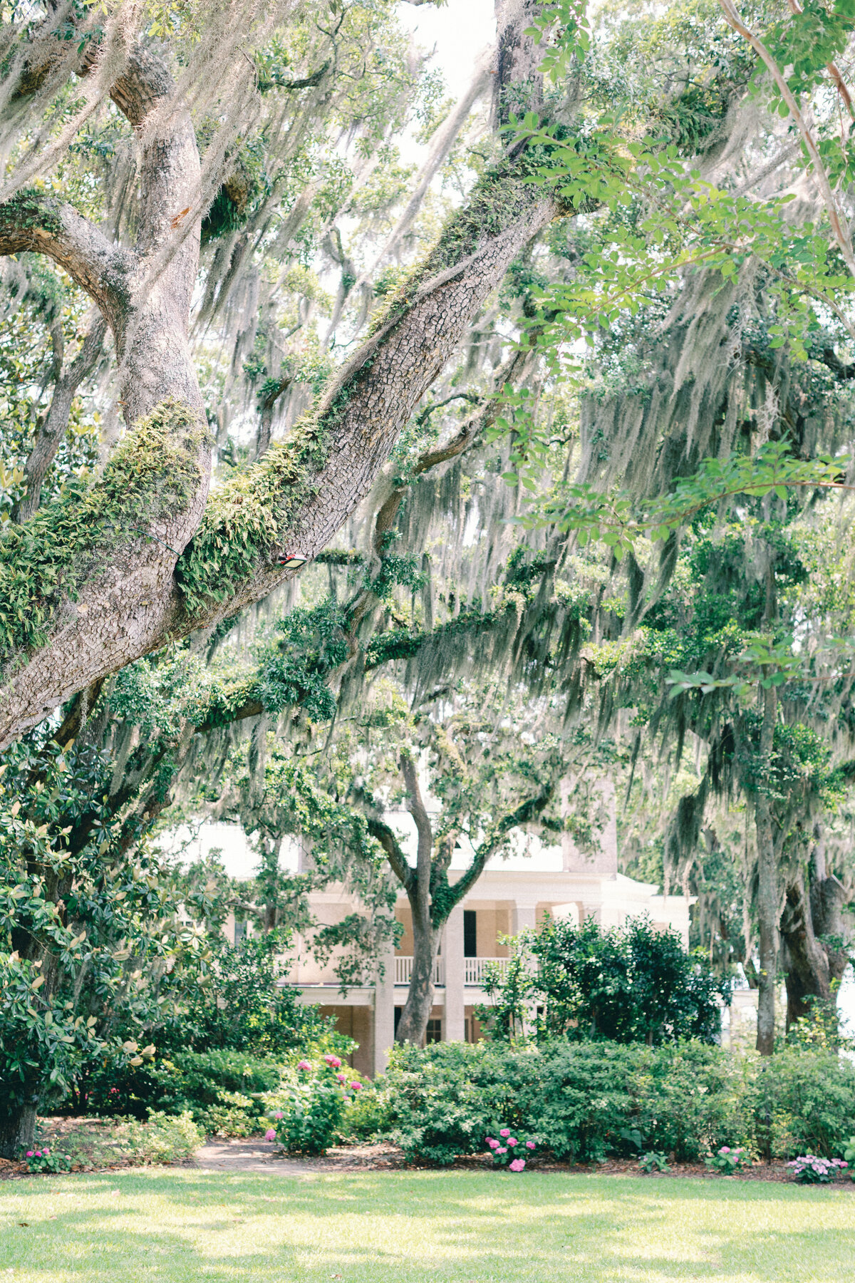 wilmington-wedding-4