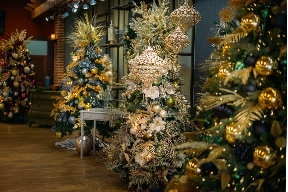 Belle-Noel-Photo-Scroll-01