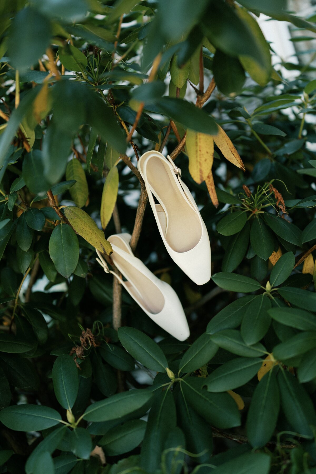 new-england-wedding-photographer44