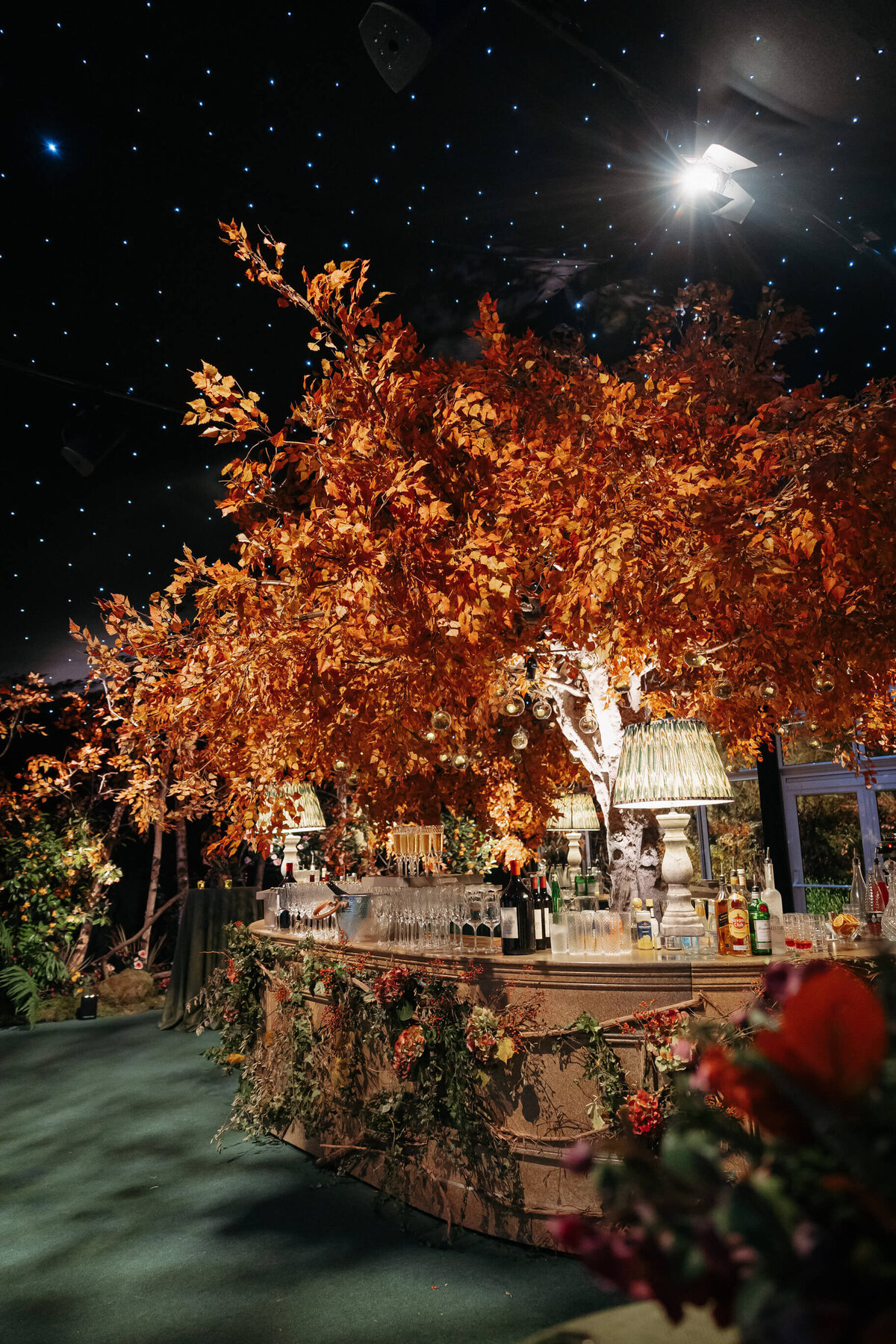 Hay Enchanted Forest, Rocket, LaraArnott, November 30, 2024, 10