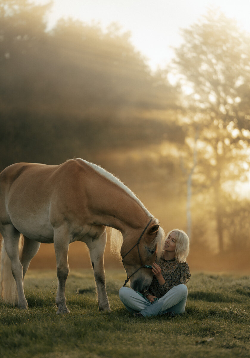 Verhalende fotoshoot met je paard in combinatie met branding, focus op de unieke band tussen paard en eigenaar.
