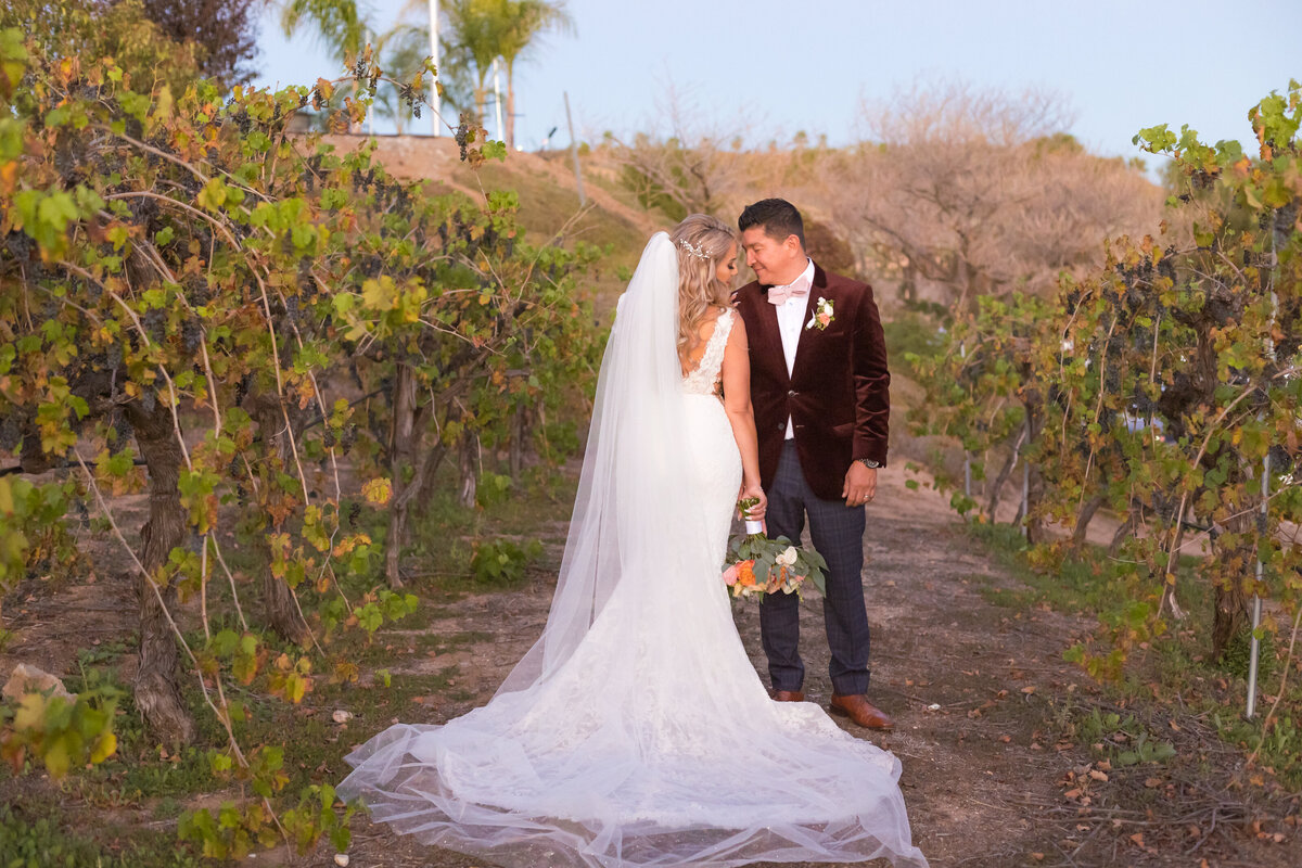 Joe+Tiffany-348