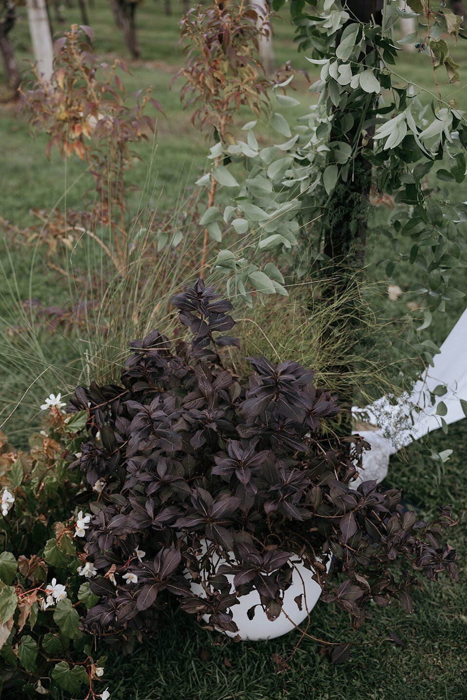 Andrew_Brenna_Wedding-489_websize