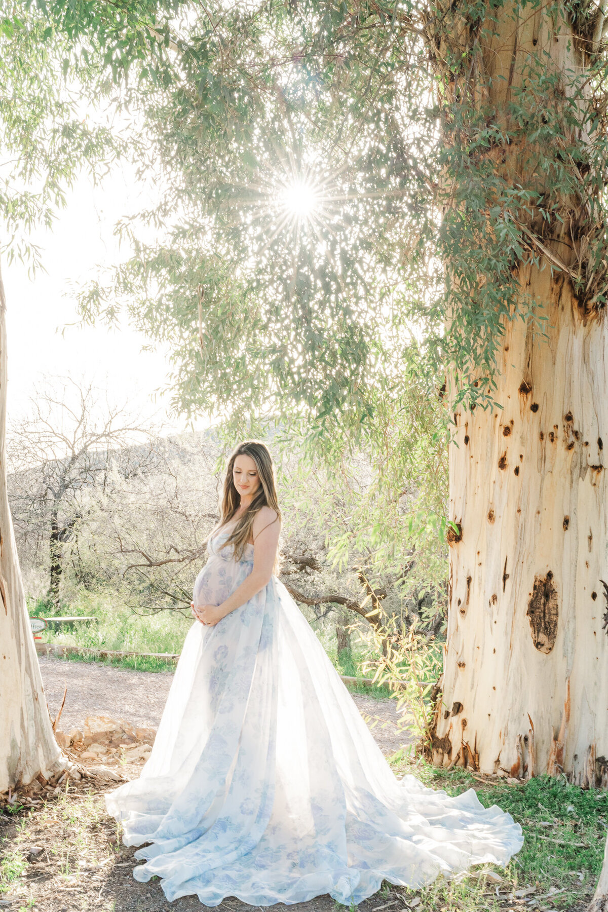 Gilber-Arizona-Maternity-Photographer-9