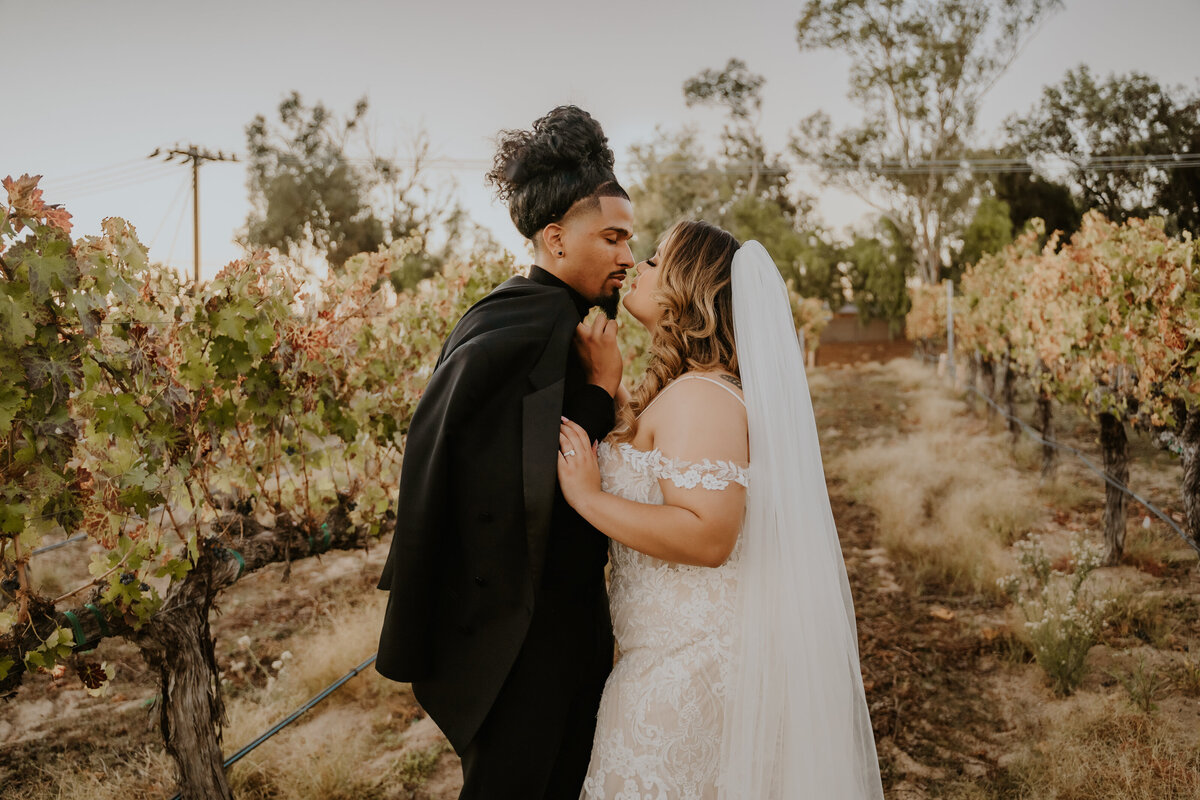 Temecula, California Wedding photographer Yescphotography Bride and Groom Portrait (2)