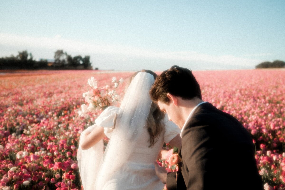 flower fields_136