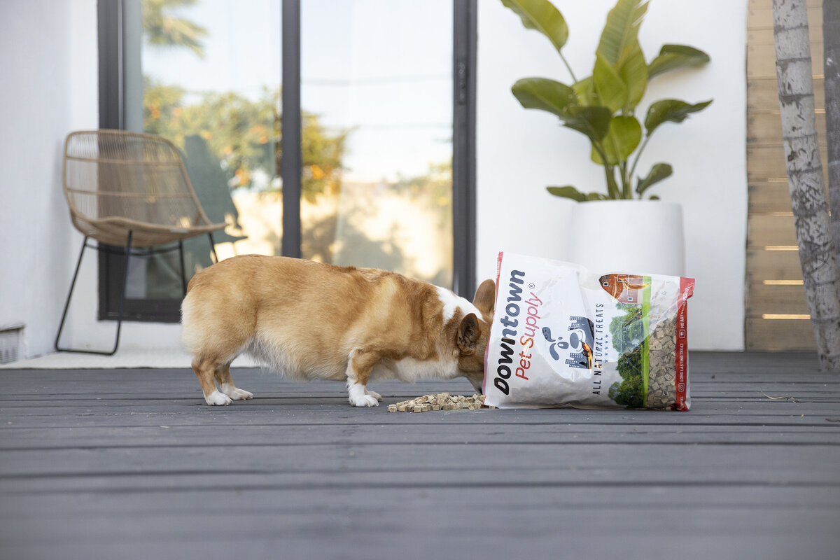 product photographer 2 copy