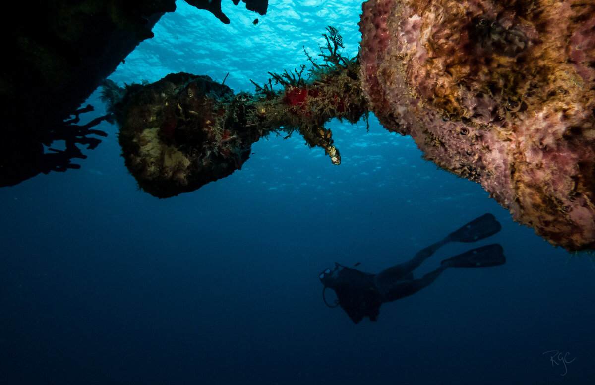 RGEORGE_UWcozumel_March2015_0348-Edit-2