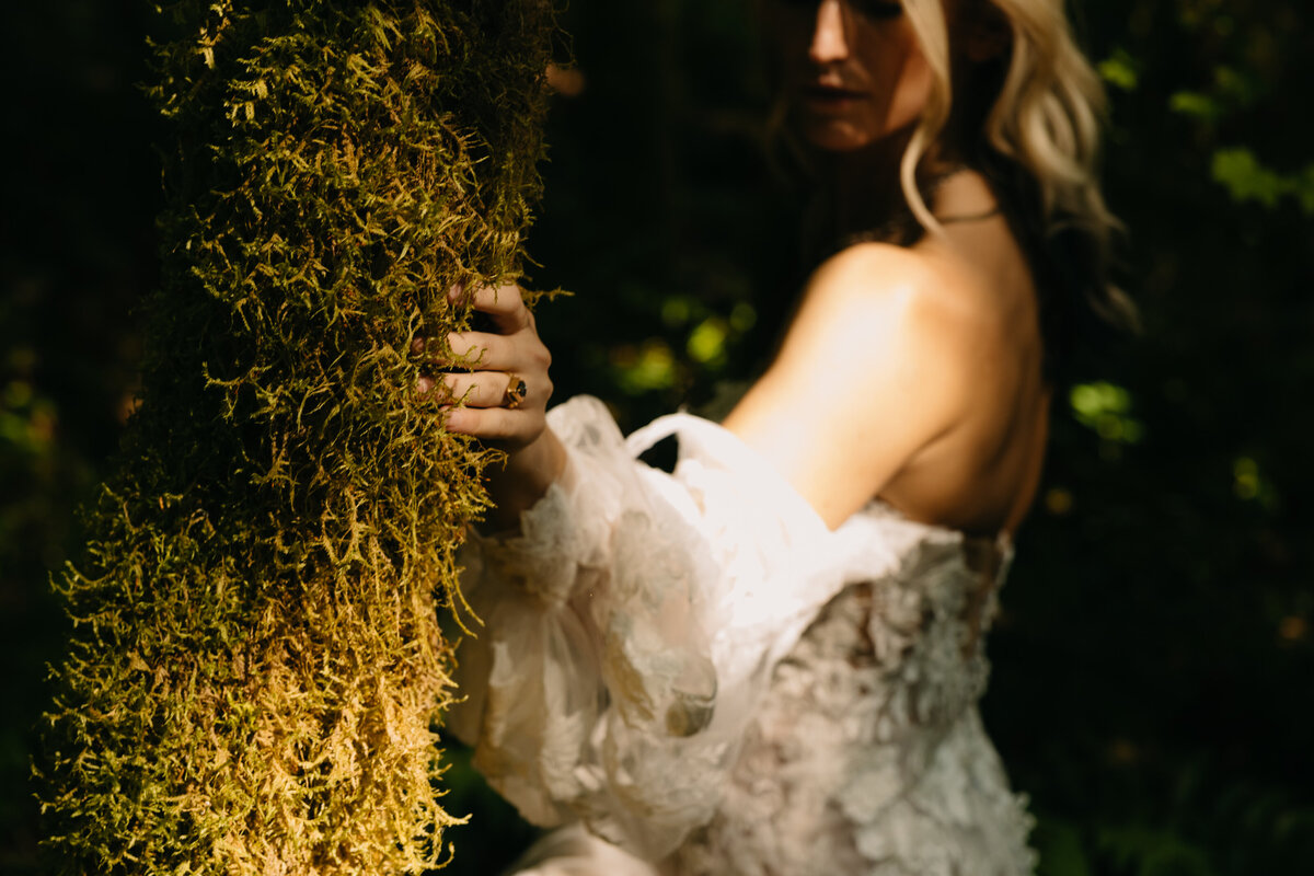 bride touching a mossy tree