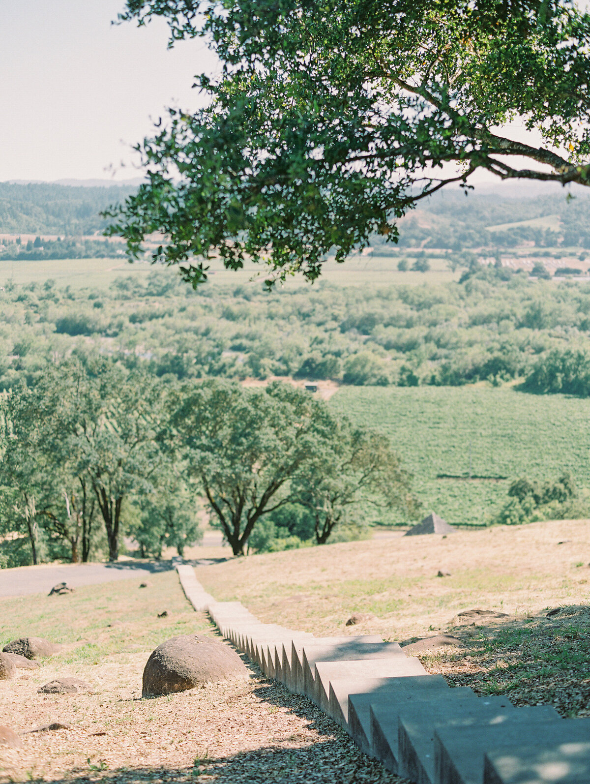 napa-sonoma-bay-area-wedding-photographers-the-tenneys-at-private-estate-wedding-01