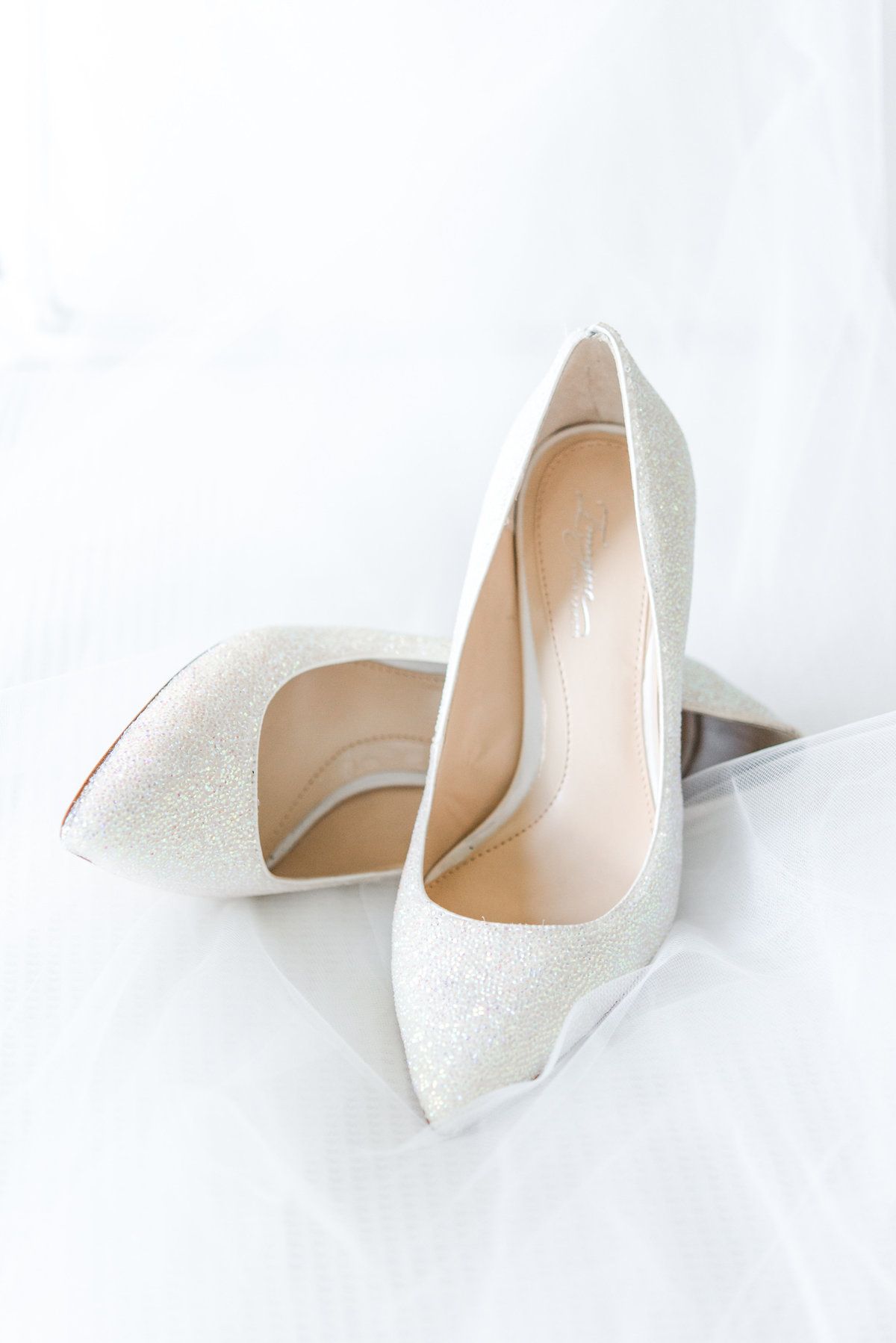 loiselle-wedding-001