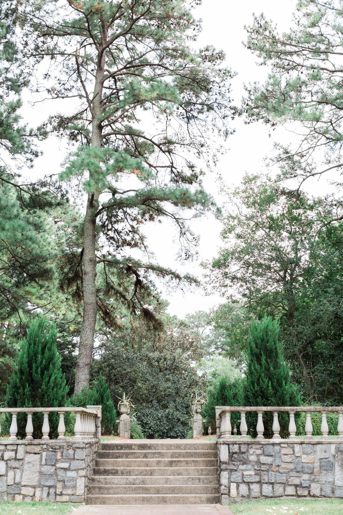 Norfolk Botanical Gardens wedding photographer