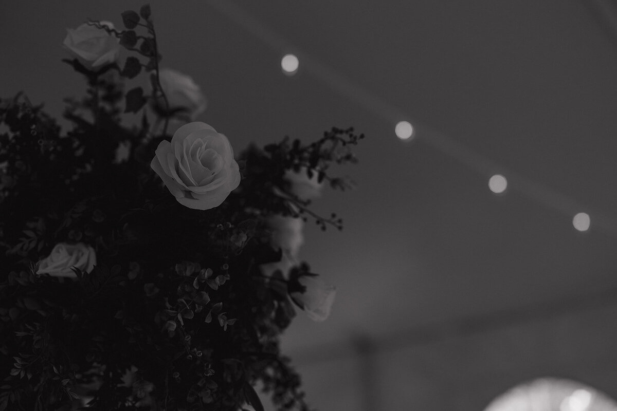 quad-cities-wedding-mallory-kory-romantic-14-2