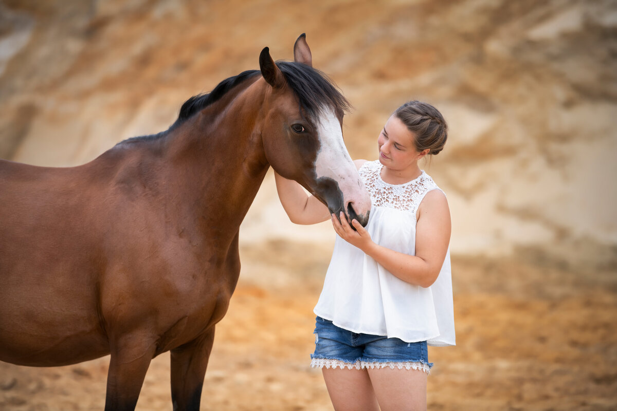 Pferdefotografie-chemnitz-Tierfotografie-fotograf-Uhldingen-Bodensee-Hamburg-Dresden-Erfurt-Konstanz-5