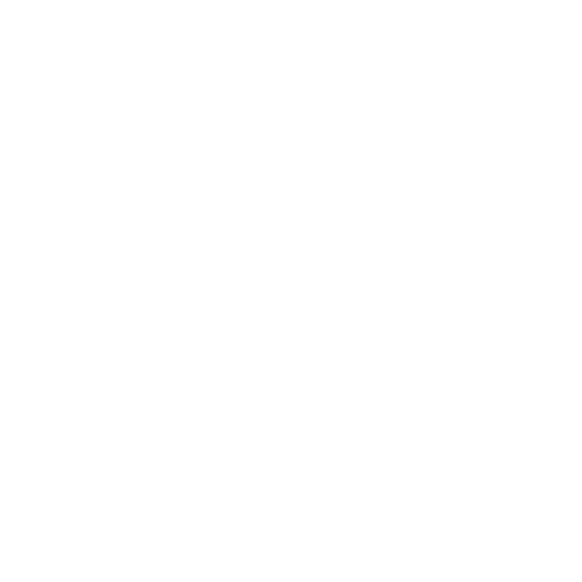 GOOGLE WHITE