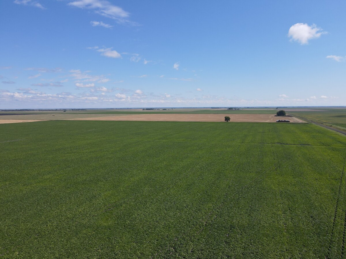 DJI_0871