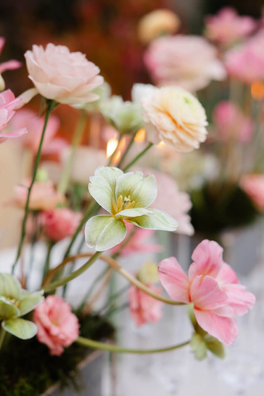 Chateau_Malliac_wedding_photography-155