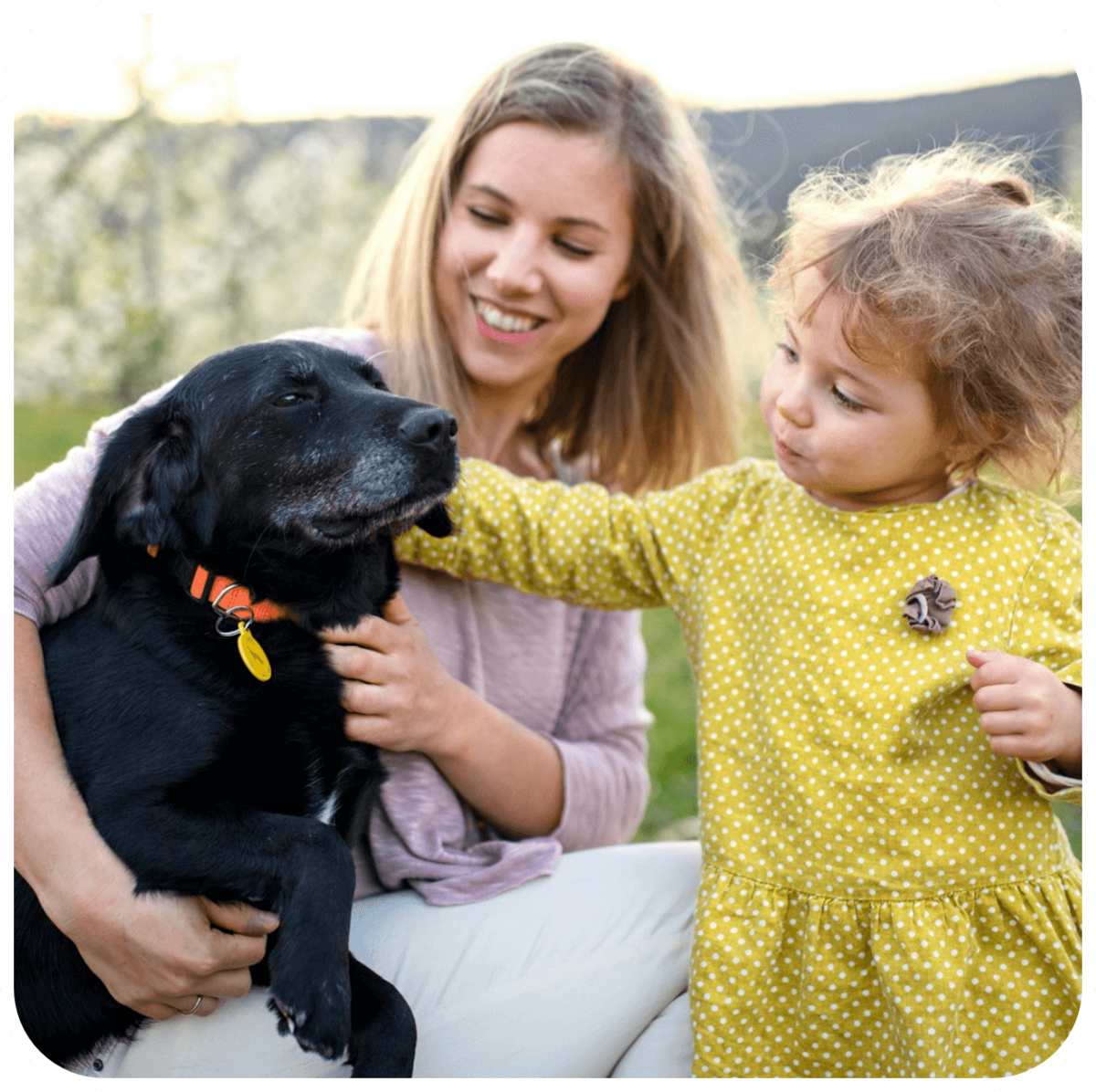 attaboys-and-attagirls-09