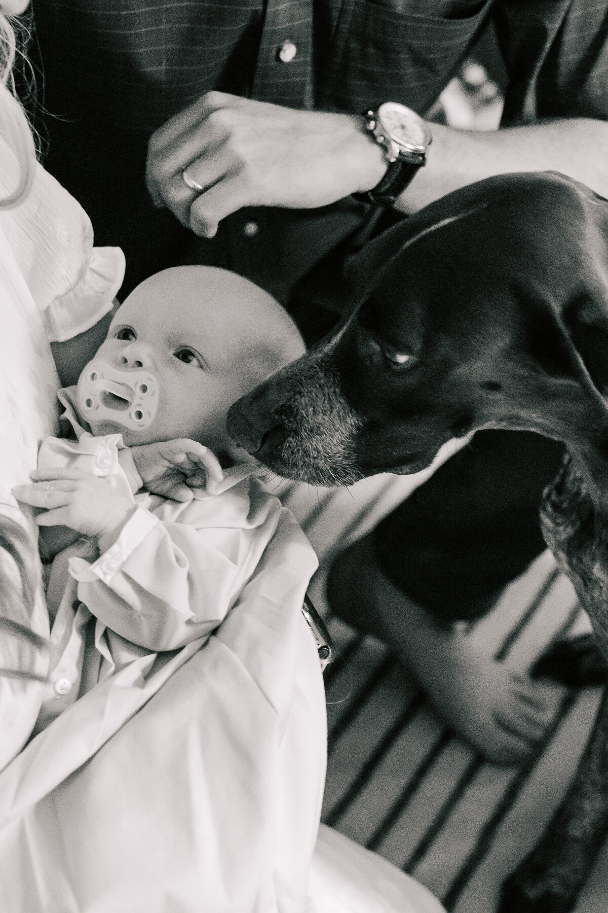 JessMashburnPhotography-pittsnewborn-17