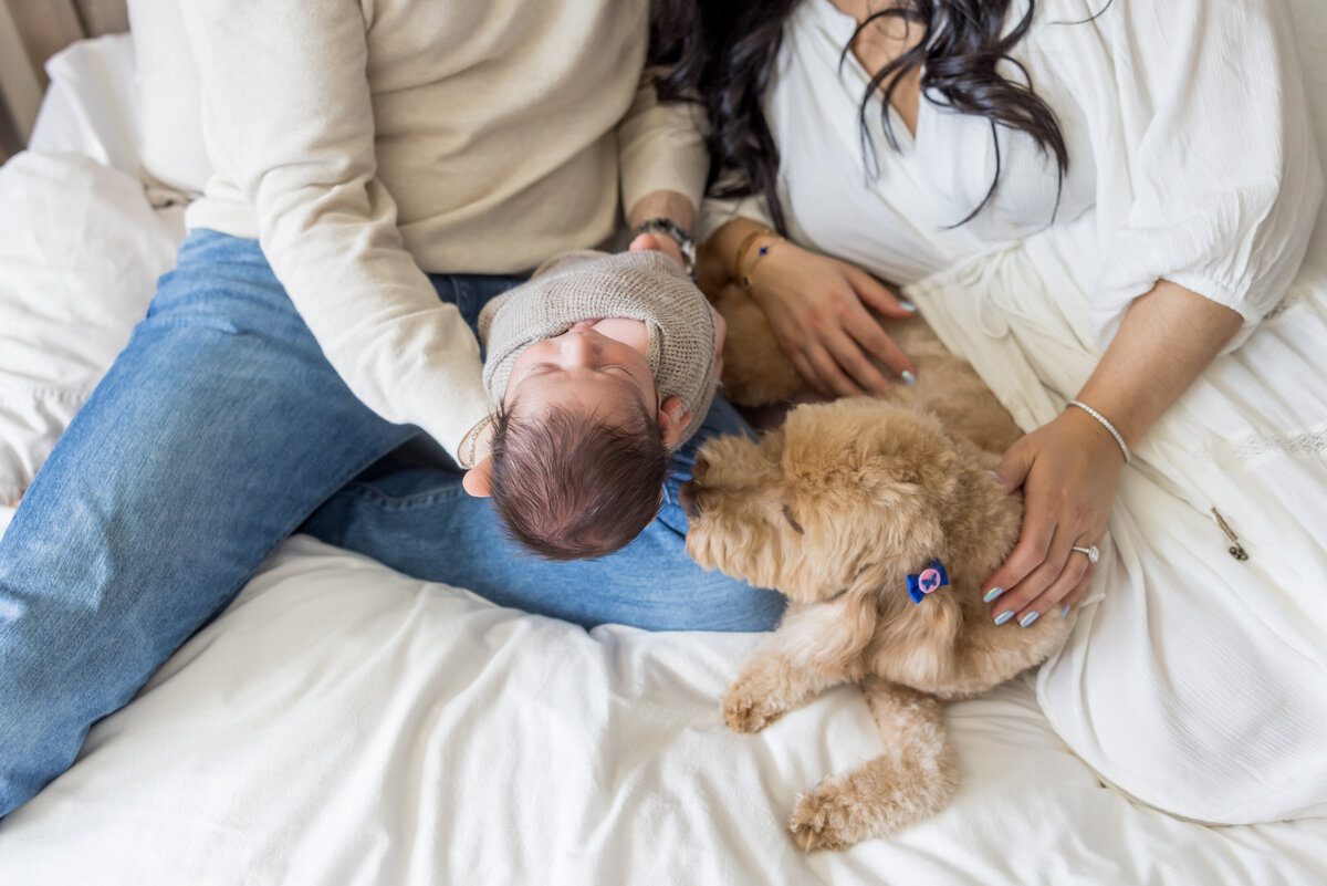 family newborn photos at home with dog