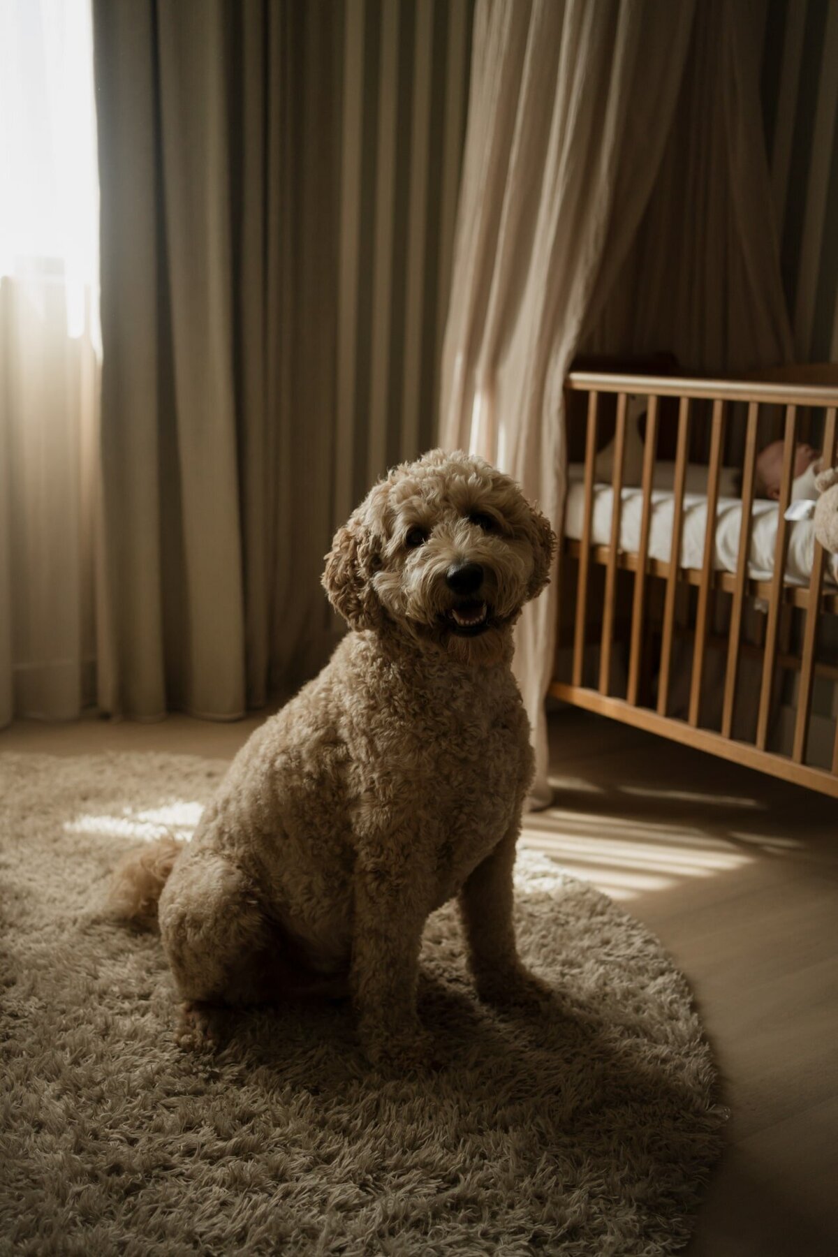 2-BEAUABO-DSC09605-min