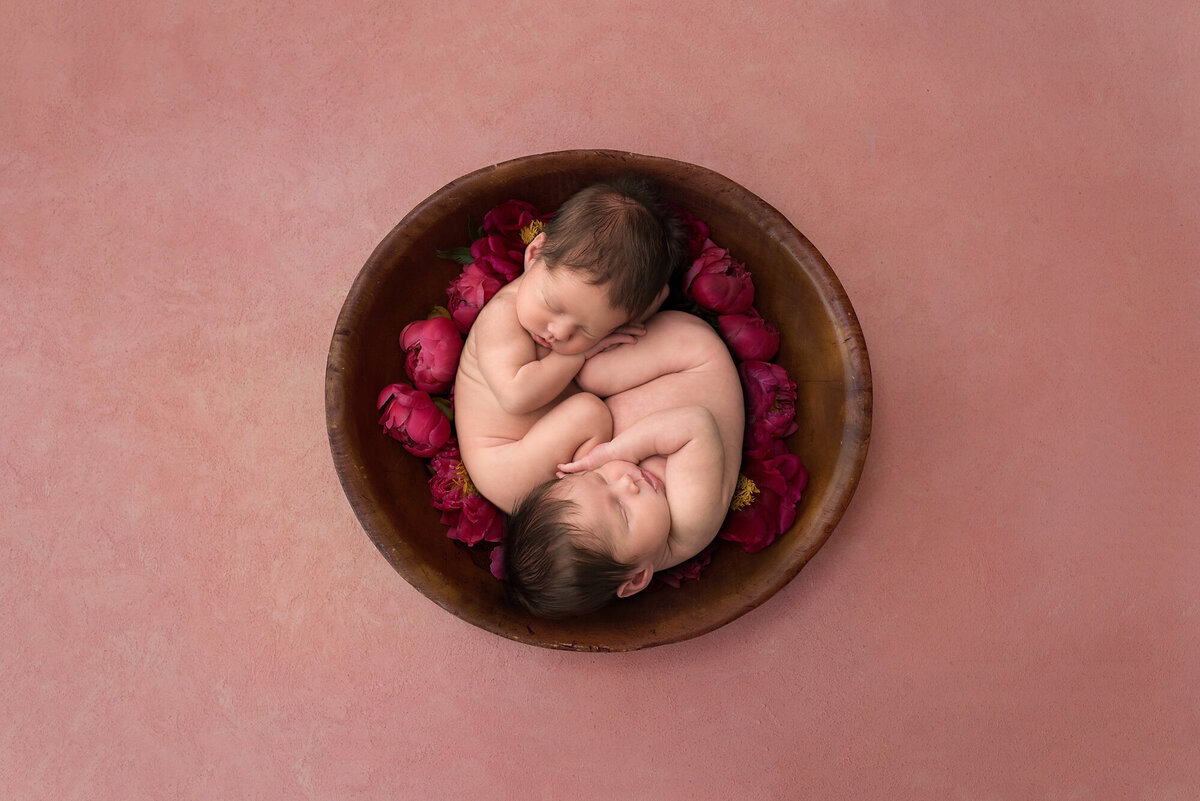 aerial twins in a basket with roses around them and a all light red backdrop
