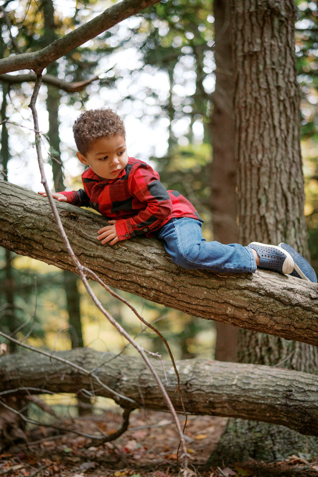 Grand Rapids Family Photographer-402