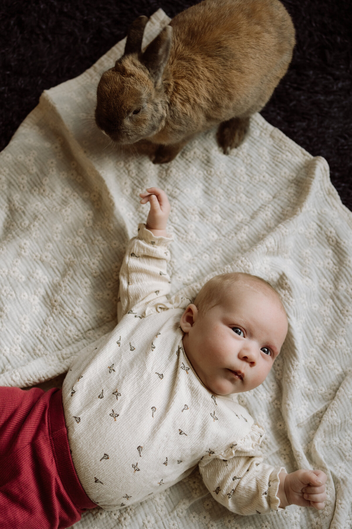 Newborn shoot Maarssen en Utrecht