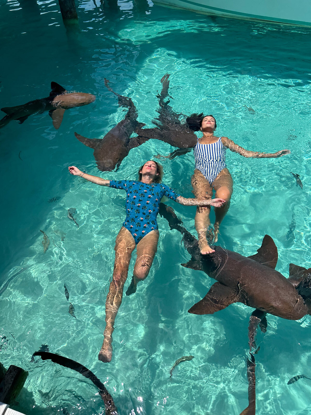 Aqua-Shores-Exuma-14