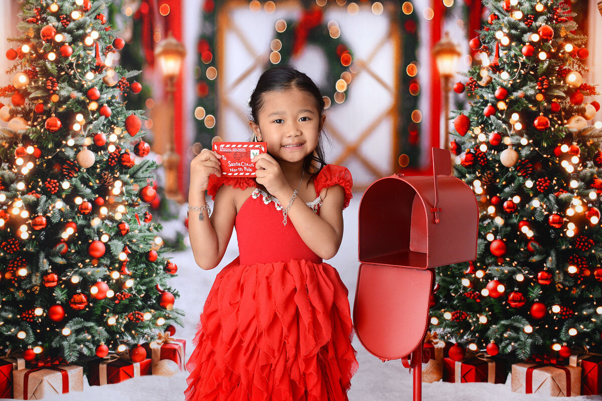 houstonchristmasminis (13)