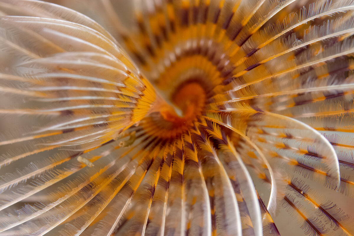 DSC_7368