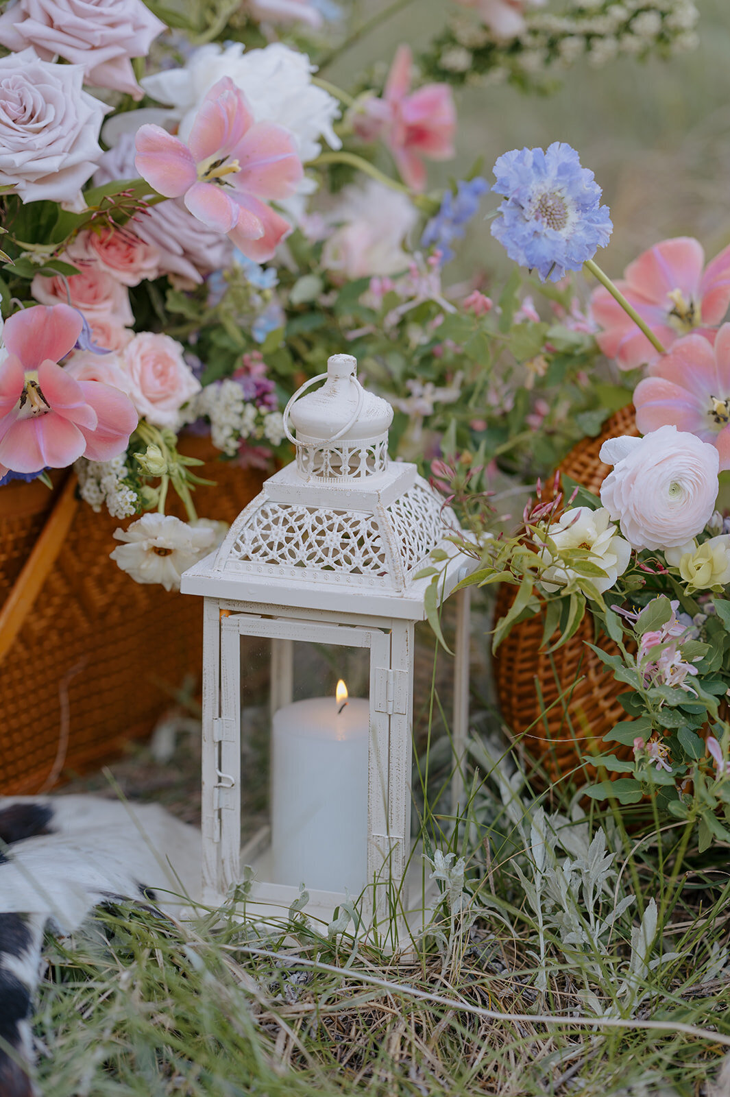 Carly-Patrick-Sheridan-Wyoming-Elopement-231