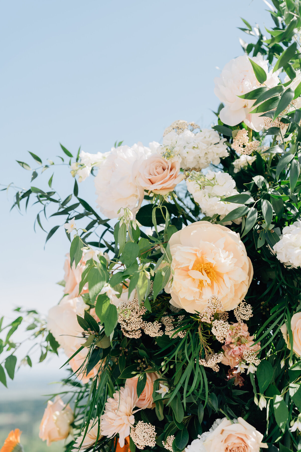 Roses, peonies