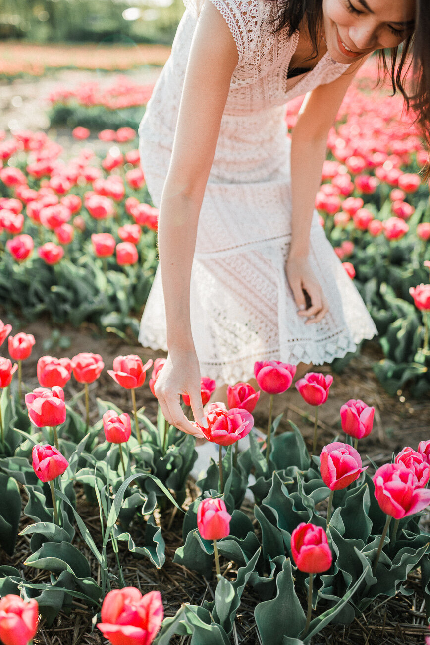 marriage-proposal-tulip-field-010