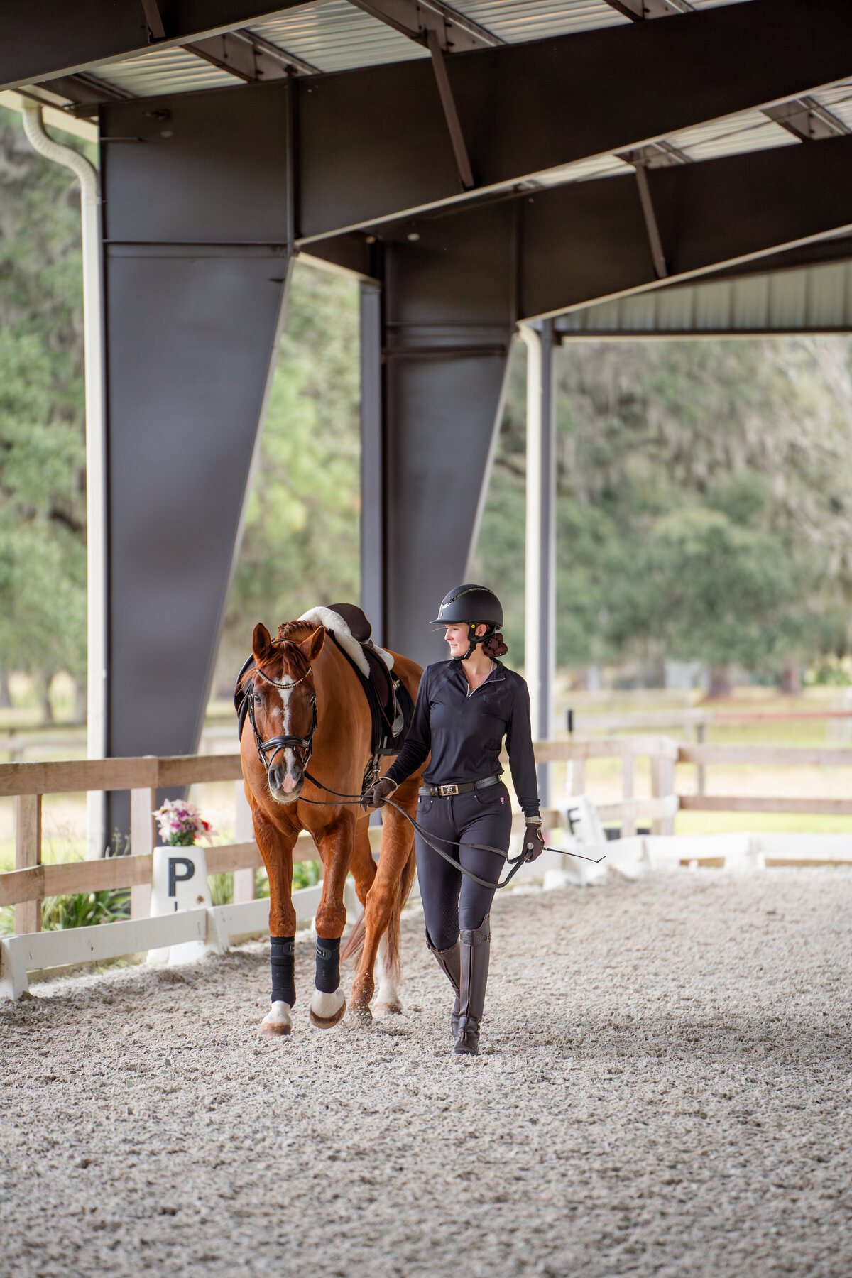 backontrack_platinumsporthorses-116