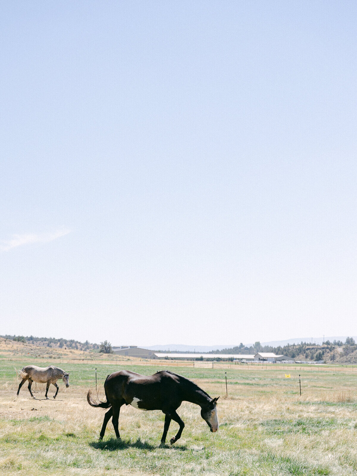 brasada ranch wedding-5