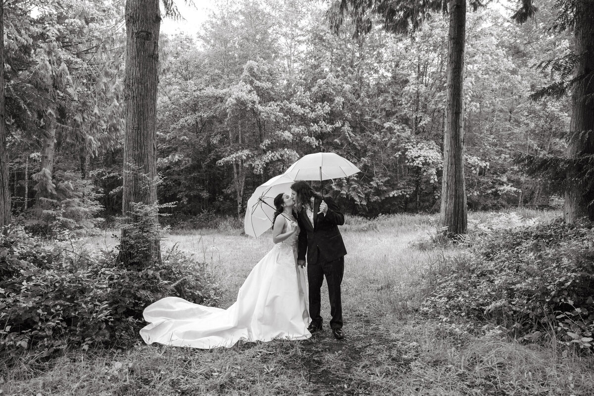 Misty Clover Farm Z+V-59