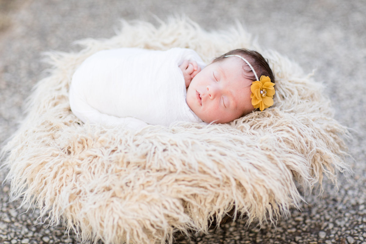 Keaton-Newborn-Walker-Ranch-Park-Golden-Retriever-66