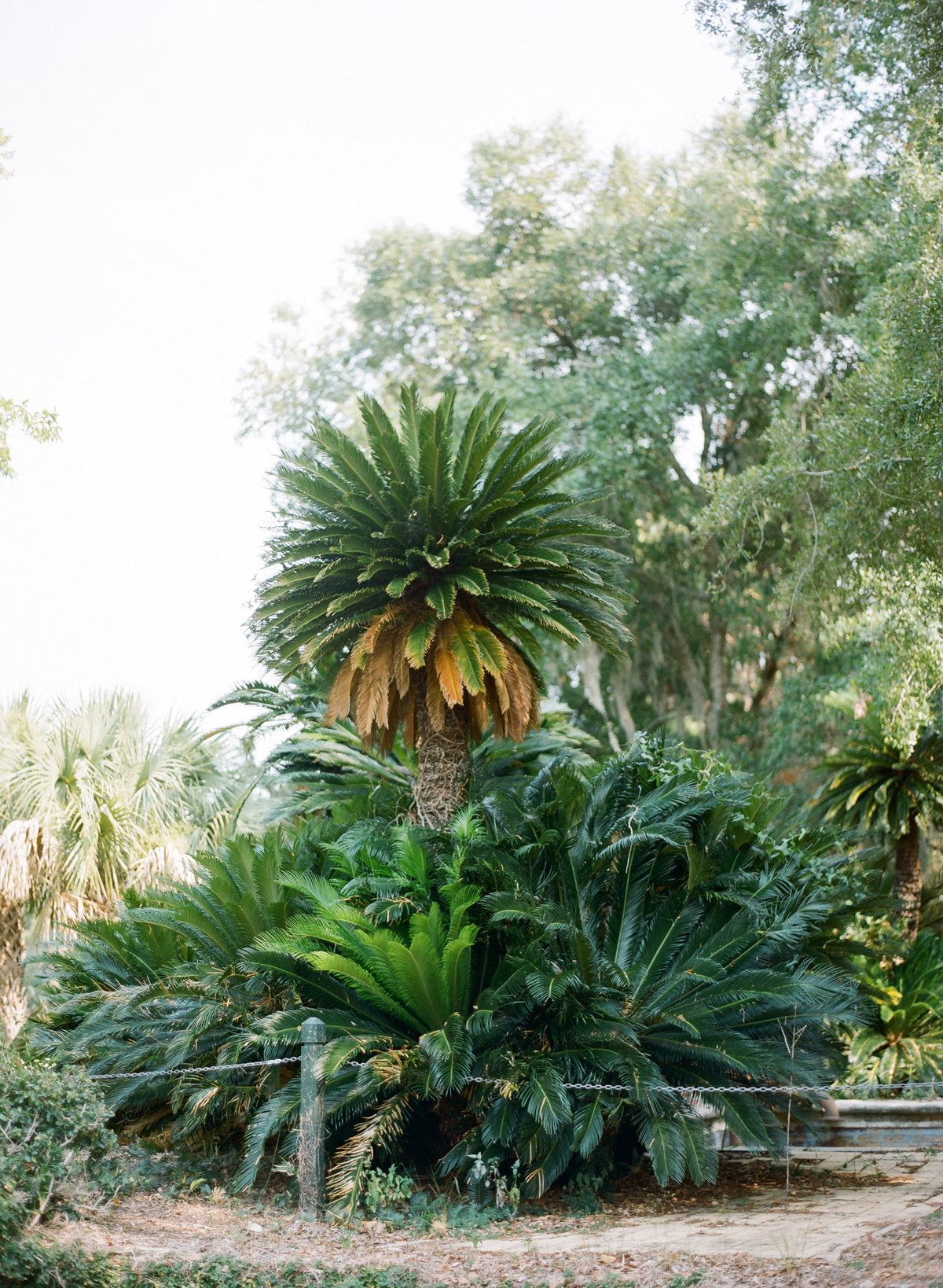 MelissaSchollaert-JekyllIsland-13