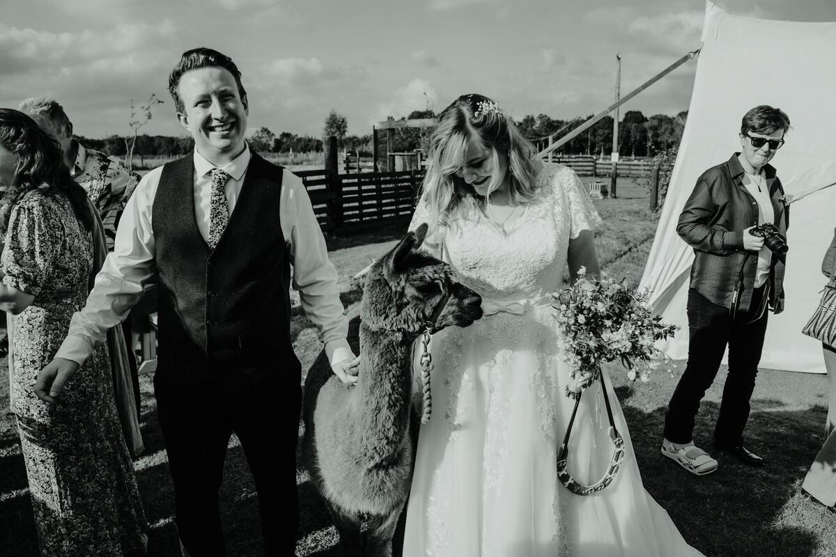 Valley View Alpacas Caley Photography Essex Wedding Photography -09